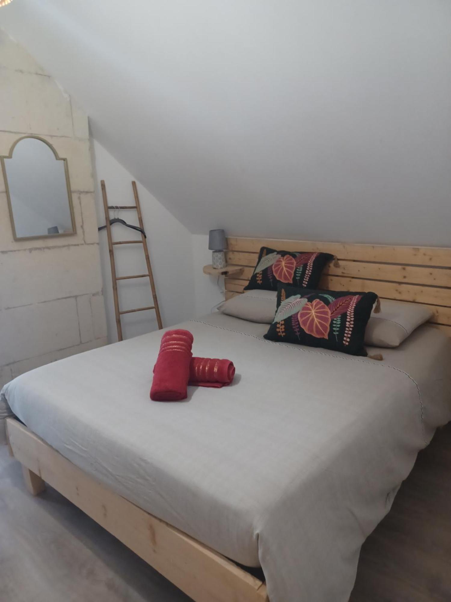 le gîte le CAMÉLIA Saint-Aignan  Esterno foto